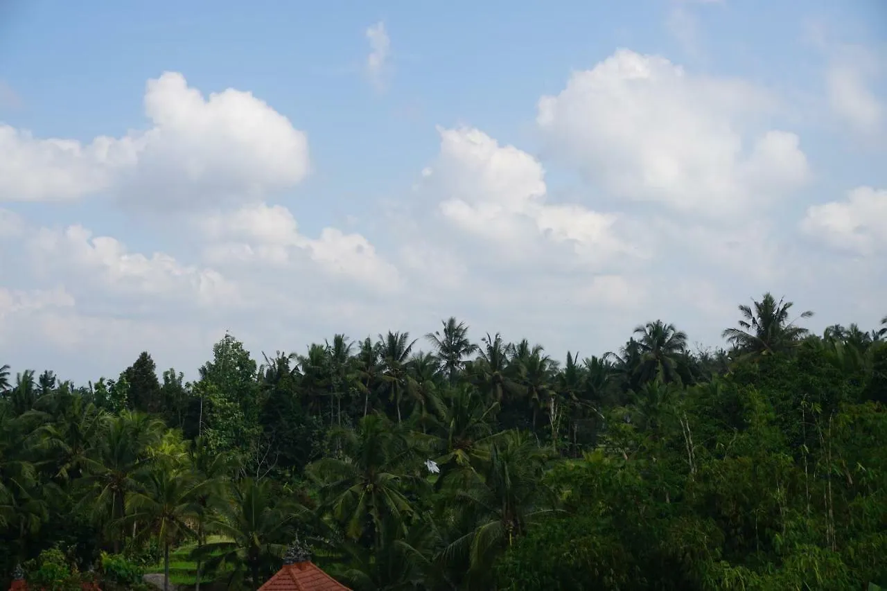 Raditya House Ubud  0*, Ubud (Bali)